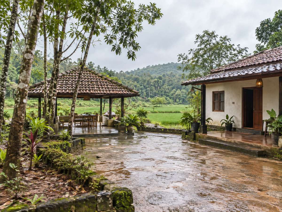 Small guest house and cabana on a wet laterite plot, rubber trees and paddy beyond, after rain